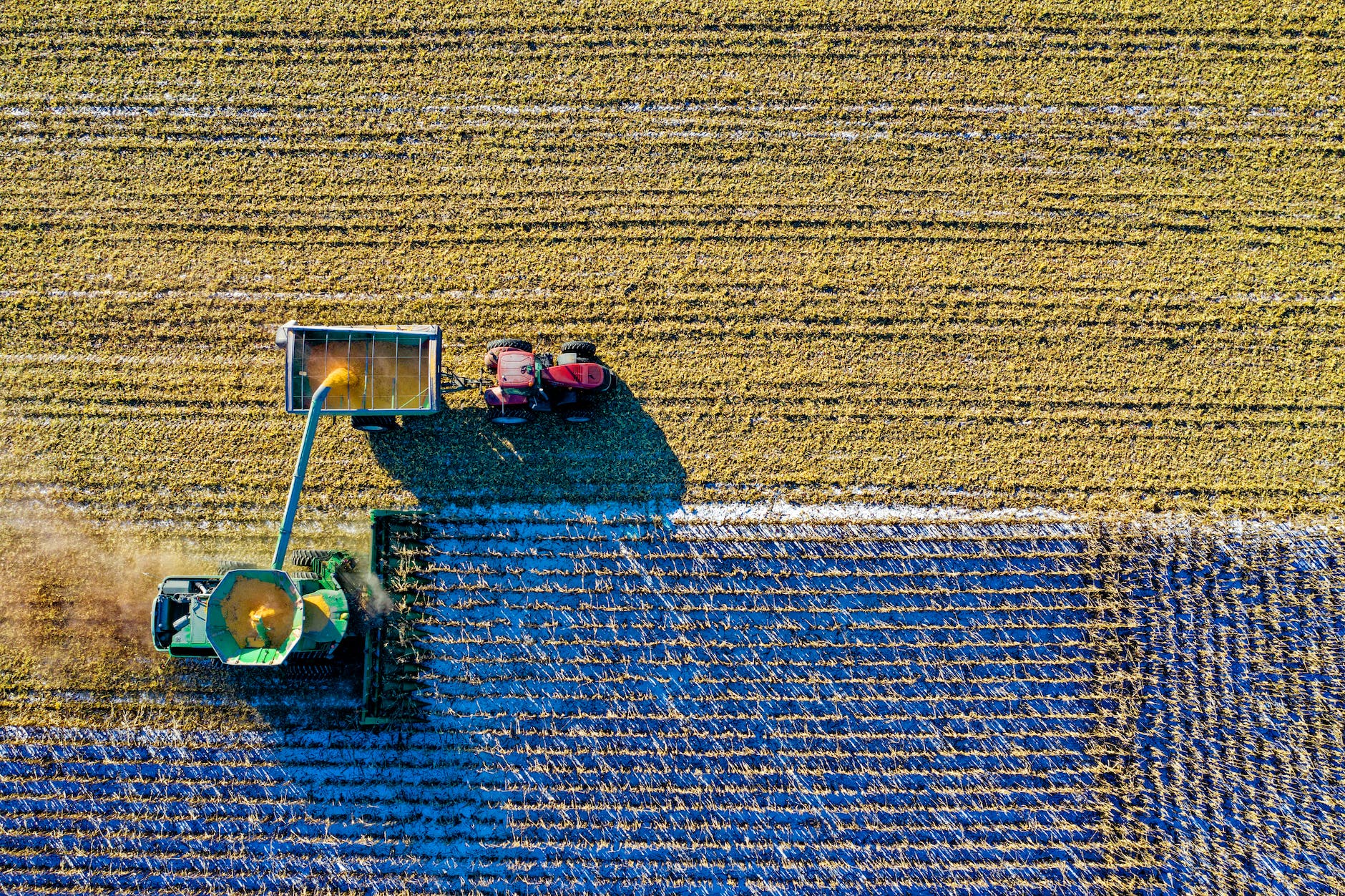 top view of green field