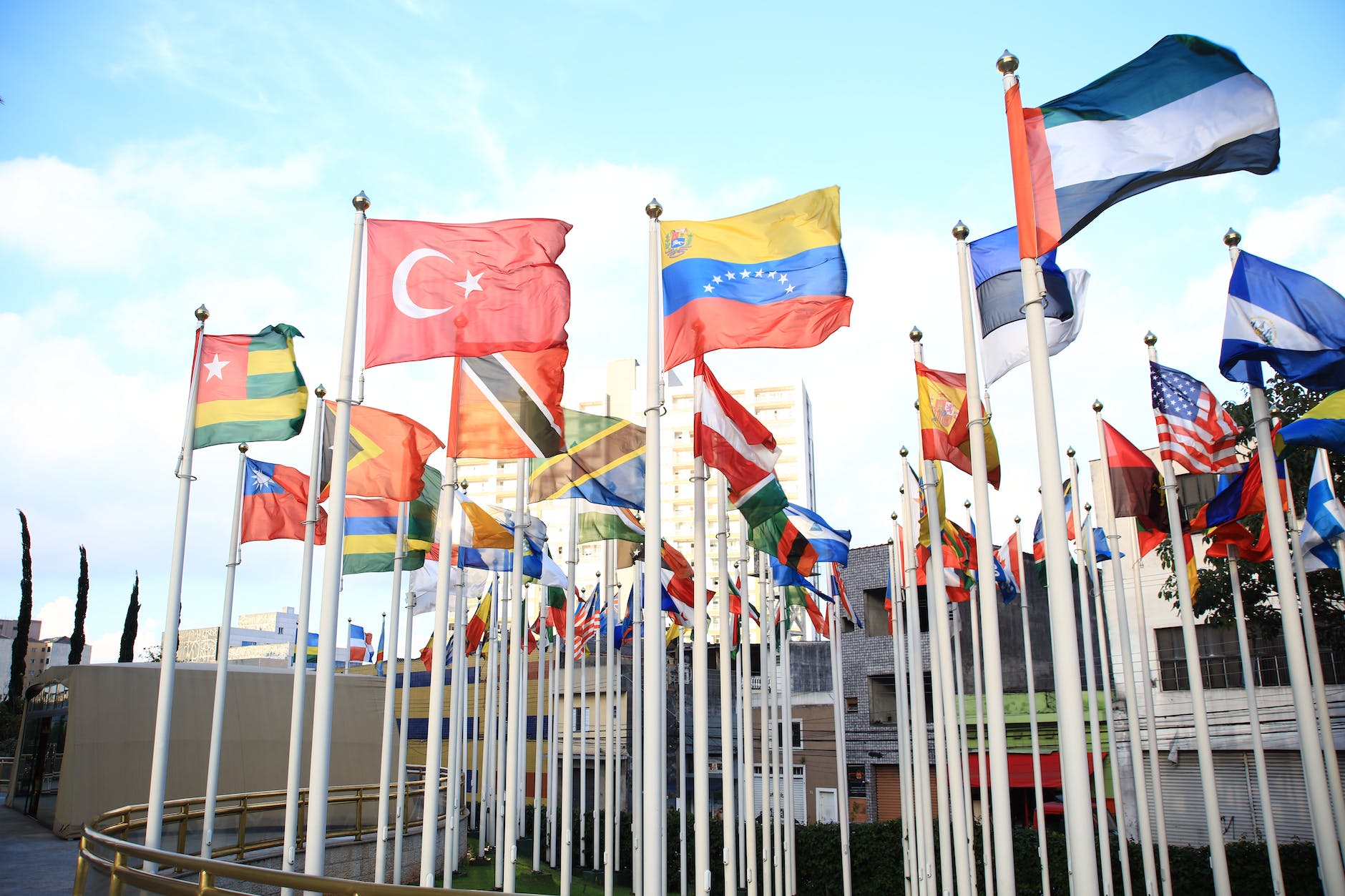 field with national state flags