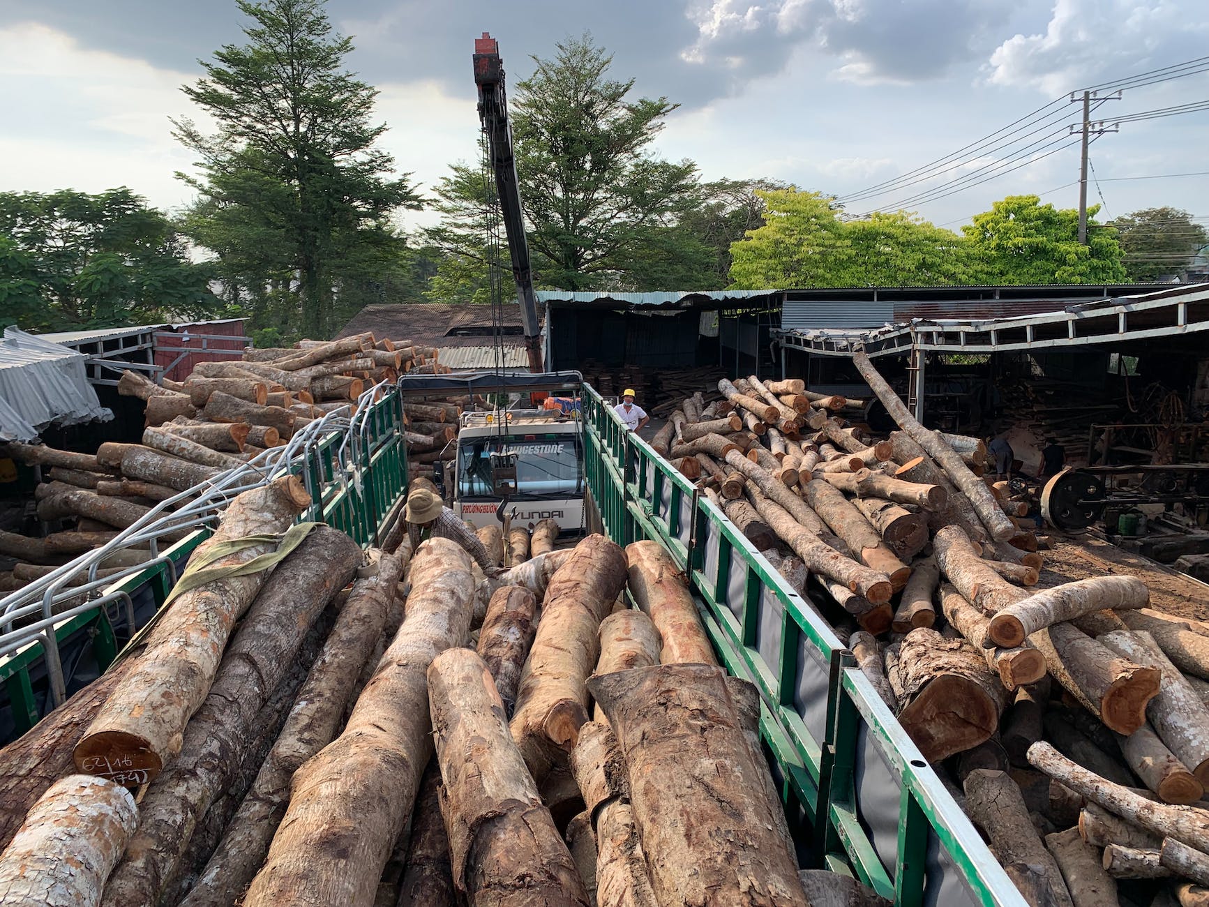 brown firewood on green metal frame